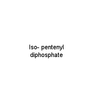 Iso- pentenyl diphosphate